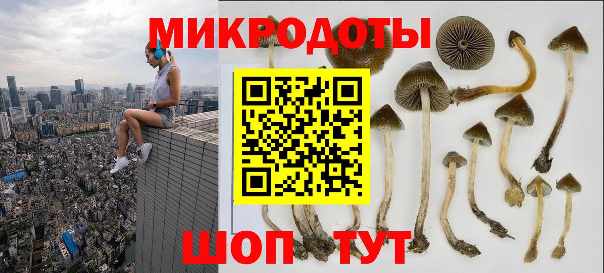 Галлюциногенные грибы GOLDEN TEACHER Десногорск